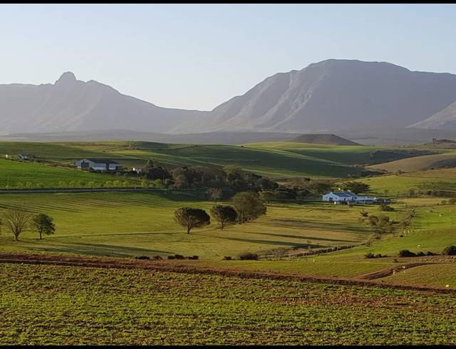 539HA FARM FOR SALE IN RIVERSDALE RURAL